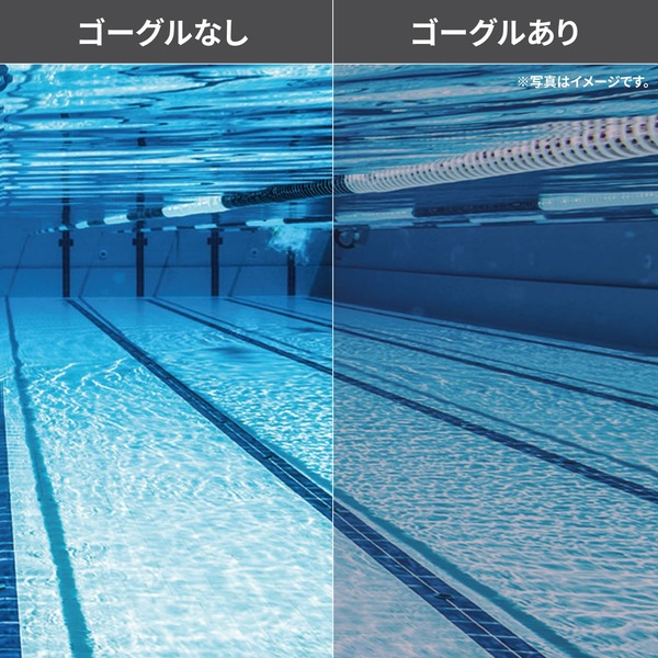 SRX-M PAF_PURRU 内側からの見え方