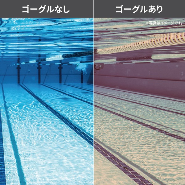 SRX-M_PAF_BLG 内側からの見え方