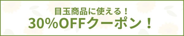 30%OFFクーポン