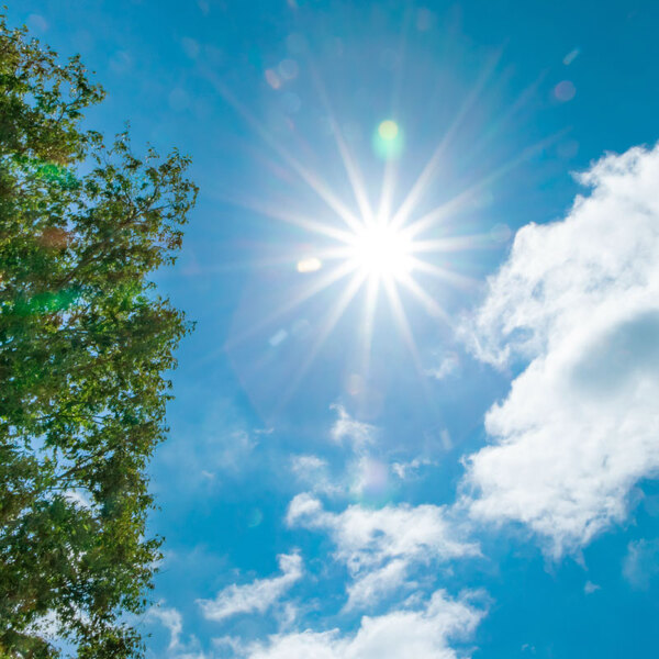 太陽の日差しが強く紫外線量が多そうな晴れの日