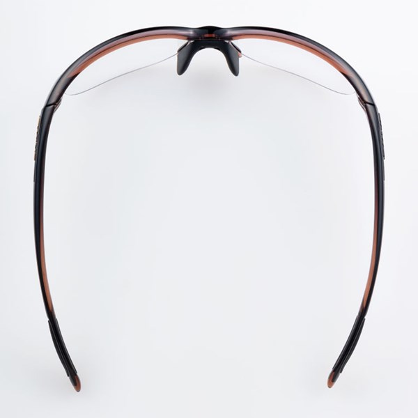 LN-0066 BRBK LUNA ルナ　サングラス　トップ