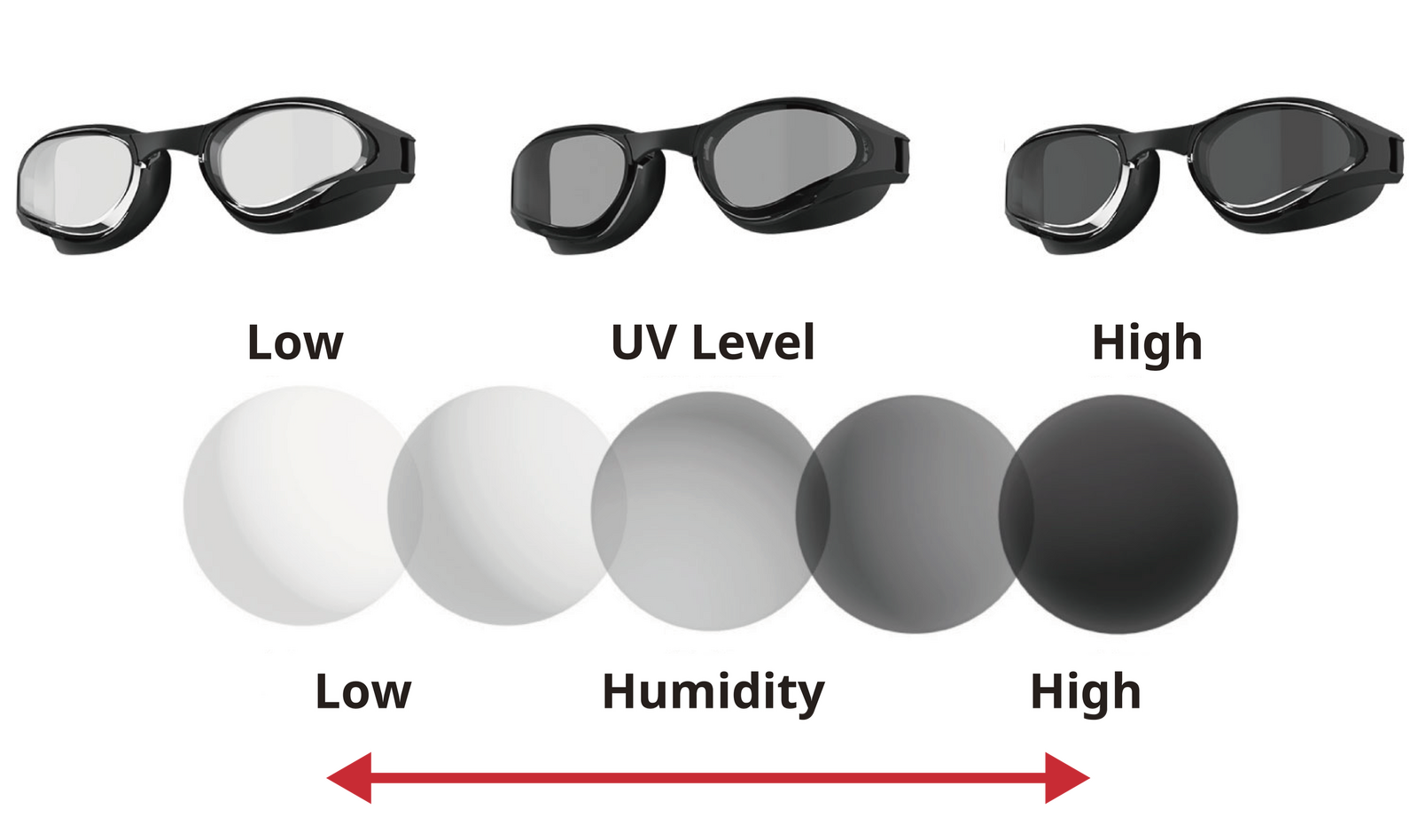 Photochromic lens for Swimming goggles | | [official]SWANS