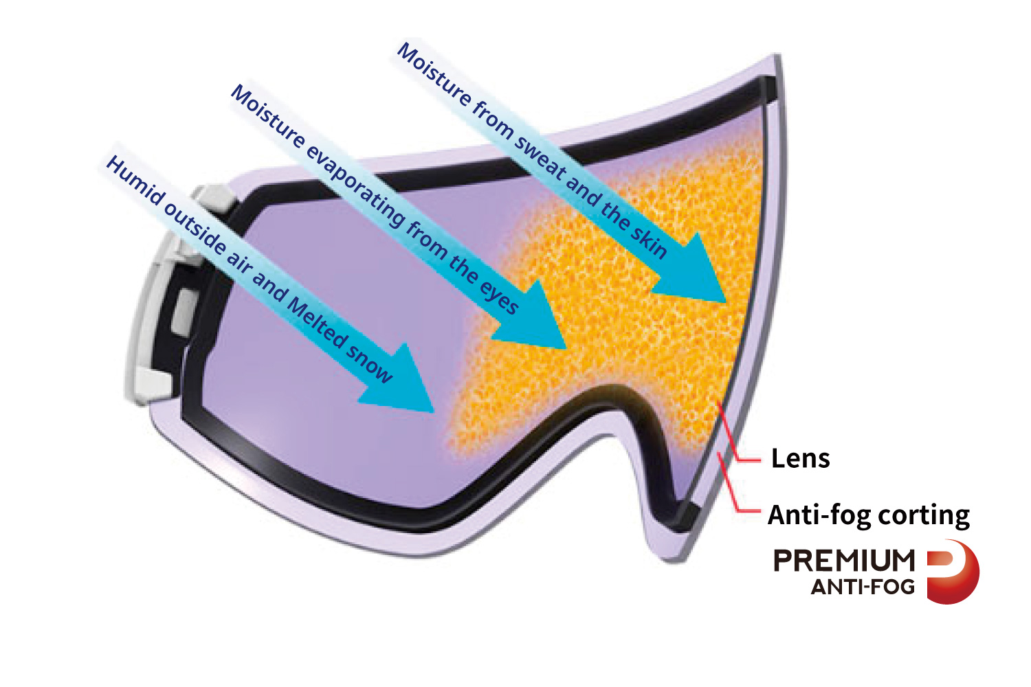 コリンシアン　ヘッドライナーズ　アヤックス　ファンデルサール　PSV コク PREMIUM ANTI-FOG for Snow goggles | | [official]SWANS